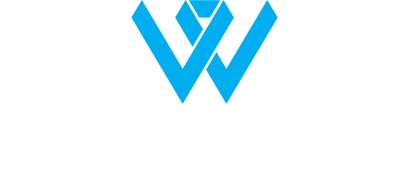 Web Evolution Logo